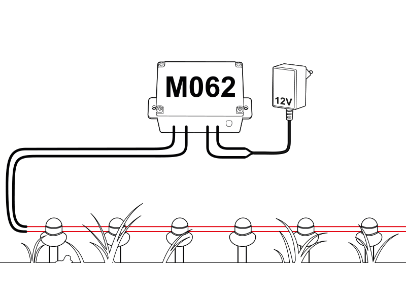 M062_Animation